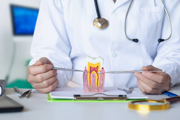 Best Urgent Dental Care for Toothache in Brownsboro, TX